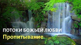 Потоки Божьей любви. Пропитывание. Валерий Гусаревич.