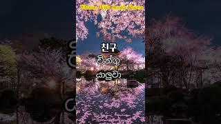 CHANU WITH SOUTH KOREA | All Korean words in the Eps Topic syllabus | Korean Vocabulary in Sinhala