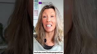 Inheritance as a Weapon: Toxic Family Control Tactics EXPOSED!