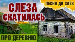 Душевная песня про деревню!  Слеза скатилась - Александр Закшевский