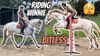 Riding Winnie BITLESS