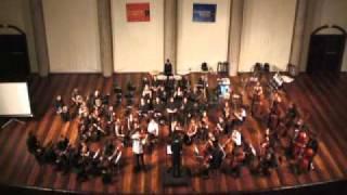 Yang Liu plays Sibelius Violin Concerto - 1st mov