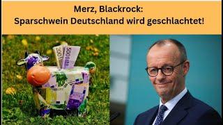 Merz, BlackRock: Sparschwein Deutschland wird geschlachtet! Videoausblick