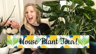 Spring 2020 Houseplant Tour Part 1