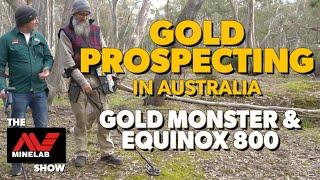 Gold Prospecting with the Minelab GOLD MONSTER 1000 and EQUINOX 800 Metal Detectors