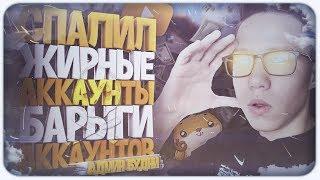 СПАЛИЛ ЖИРНЫЕ АККАУНТЫ БАРЫГИ АККАУНТОВ НА АДВАНС РП! АДМИН БУДНИ | ADVANCE RP | GTA SAMP