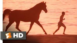 The Black Stallion (7/11) Movie CLIP - Boy and Horse (1979) HD