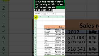 How to automatically adjust the width of columns and rows in excel