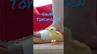 Crush Toychicken in Madden Girl Sandal #shorts  #crushing  #heels  #viral  #asmr  toy #roleplay