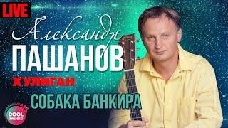 Александр Пашанов - Собака банкира (Хулиган, Live)