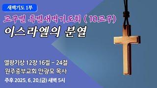 [원주중부교회] 새벽1부 | 이스라엘의 분열 – 왕상 12:16-24 (250620) | 안광모 목사