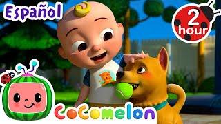 Pequeño amigo | ¡CoComelon! | Canciones Infantiles en Español Latino