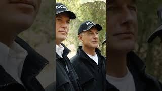 NCIS breaking news. #ncis #nci #ncisla #shorts #shortsvideo #viral #viralvideo #youtube