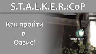 Как пройти в Оазис в S.T.A.L.K.E.R. Зов Припяти