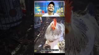 It’s Hair cut Time #saurabhyadavshorts #comedyvideos #funnyshorts #youtubeshorts #funnyvideos