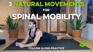 3 Natural Movements for Spinal Mobility