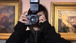Museums Rule! | KQED Arts