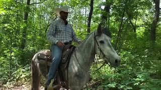 Part 2 : Trail Training- How to have a successful first trail ride