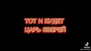 Царь зверей