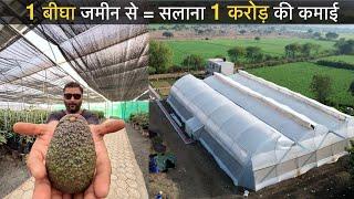 मक्खन फल ने बनाया 26 साल का लड़का करोड़पति // एवोकाडो खेती Israel butter fruit nursery India Avocado