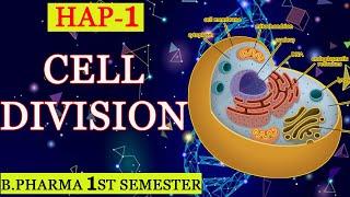 CELL DIVISION/STRUCTURE/FUNCTION/B.PHARMA-1 SEM.(HAP)