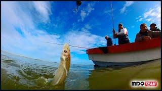 This is one of the best lagoons of 2025 for fishing silverside.