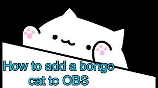 How to add a bongo cat keyboard cam to (OBS-FOR-FREE)