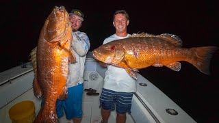 GIANT Cubera Snapper! Catch Clean Cook (Florida Keys Snapper Fishing)