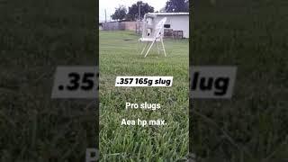 pro slugs ammo test