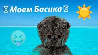 Как помыть Басика? | Моем Басика | Вечерний влог с Басиком