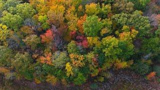 Autumn in the Lehigh Valley