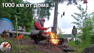 РЫБАЛКА И ОТДЫХ дикарями с палаткой на лесном озере | Ловля щуки на болоте дедовским способом.