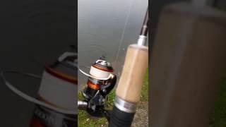 Soare bb  + Trout one  Shimano Trout Area