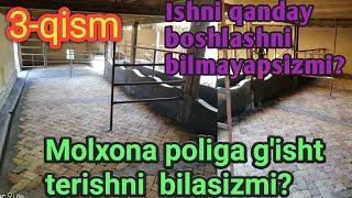 Молхона полига пишган гишт териш 3 qism Molxona poliga pishgan g'isht terish razmerlari xarajatlari