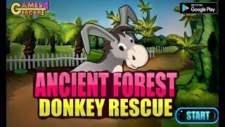 G4E Ancient Forest Donkey Rescue Walkthrough [Games4Escape]