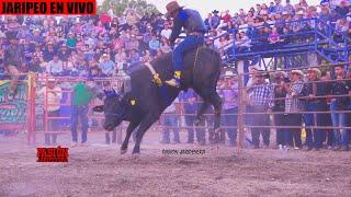  GANADERIA LA YURIRENSE en Vivo desde Poloncingo Guerrero 5 Octubre 2024 | Jaripeo Completo