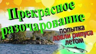 Прекрасное разочарование. Попытка ловля рипуса летом на Тургояке.