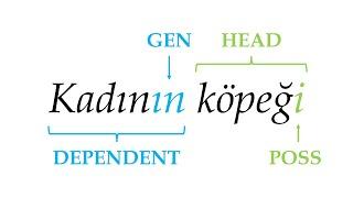 Feature Focus - Head-marking vs. Dependent-marking