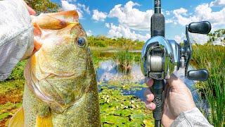 My BEST Summer Bass Fishing Day EVER (Aggressive Bites)