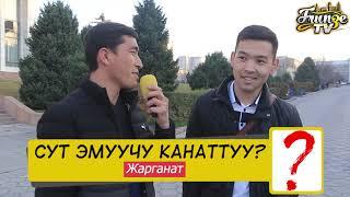 БИЛИП КОЙ | МЫНЧАЛЫК ЭЧКИМ КАТУУ КУЛДУРО ЭЛЕК БОЛЧУ | 100% ХАХА | ФРУНЗЕ ТВ | КЫРГЫЗСТАН