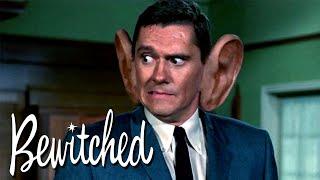 What's Happening To Darrin's Ears?  | Bewitched