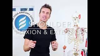 Yoga Anatomy Tip: Shoulder Flexion & Extension