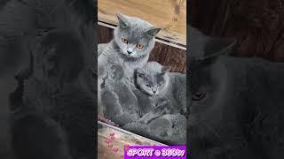We are a happy family |  Like & Subscribe me ️