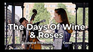 Trio Merlot Jazzband Stuttgart - The Days Of Wine And Roses LIVE auf dem Schlossplatz Stuttgart