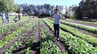 Market Gardening: Why 30-Inch Beds Are the Key to Thriving Crops!