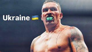 Oleksandr Usyk |“The Cat”| Boxing Highlights 2024 (Full HD)