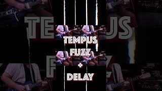 Tempus wild square wave fuzz and delay #guitarpedal #fuzz #guitar #fxpedals