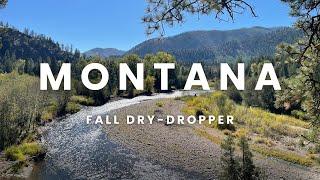 Dry Dropper Tactics in MONTANA