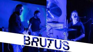 Brutus — A Forest (The Cure cover) | StuBru LIVE LIVE | Studio Brussel