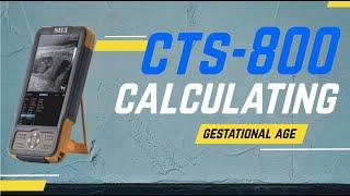 Calculating gestational age on the CTS-800